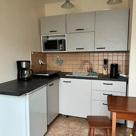 Przy Szlakach Apartment *