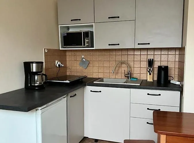 Przy Szlakach Apartment *