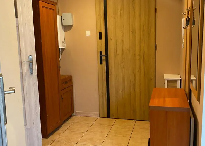 Przy Szlakach Apartment *